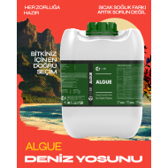 Agroege İthal Sıvı Deniz Yosunu Algue Gübre 20 Lt