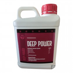 Deep Power Hayvansal Amino Asit Sıvı 5 Litre