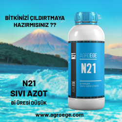 N 21  ( Sıvı azot )  1 litre